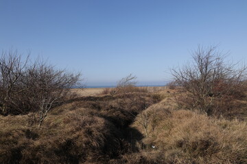 Blick auf das Wattenmeer bei Cuxhaven an der Deutschen Nordseeküste	