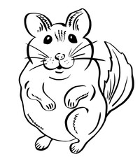 Cute funny chinchilla for stickers. Hand drawn rodent: mouse, hamster or chinchilla.