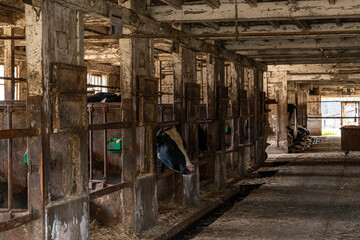 日本の農場にある古い牛舎