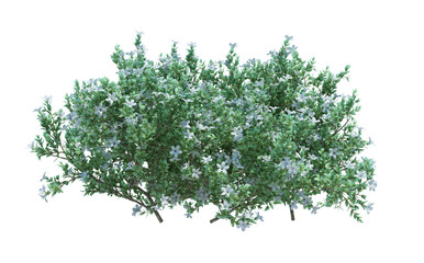 3d Render Brush Tree Isolated  on white