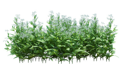 3d Render Brush Tree Isolated  on white