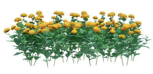 3d Render Brush Tree Isolated  on white