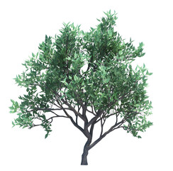 3d Render Brush Tree Isolated  on white