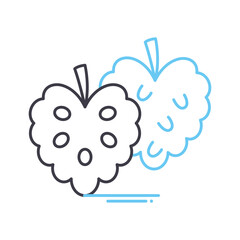 custard apple line icon, outline symbol, vector illustration, concept sign