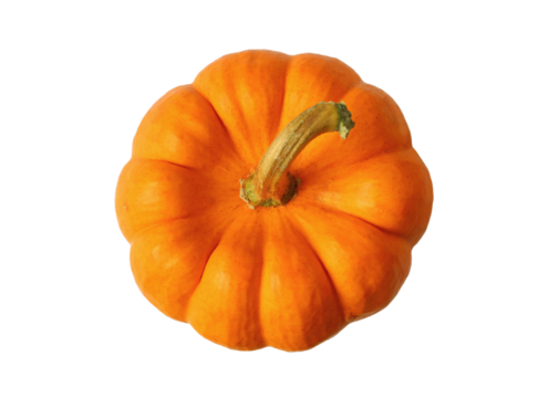 Top view of Vibrant Orange Ripe Pumpkin Isolated on Transparent Background, PNG File