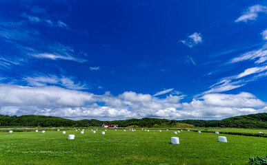 北海道　牧場の風景