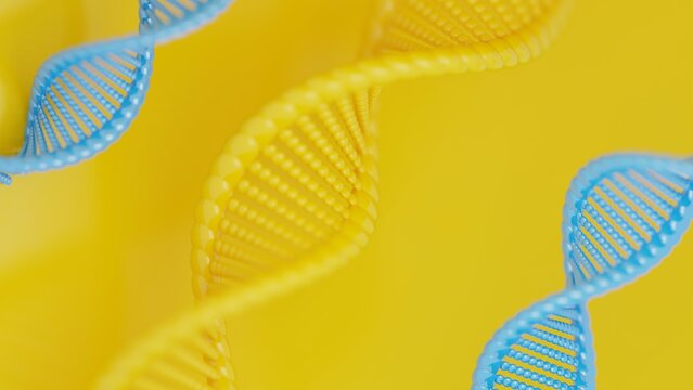 3D render of DNA double helix in yellow and blue with plactis shader for marketing and advertising
