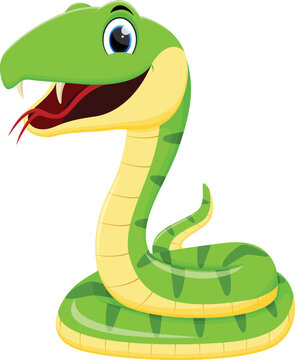 funny green snake cartoon isolated on white background