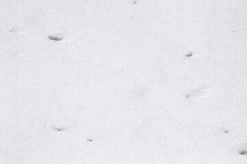 White background. The texture of the surface of the snow.