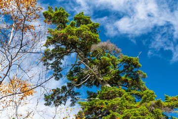 風景, 自然, 空, 山