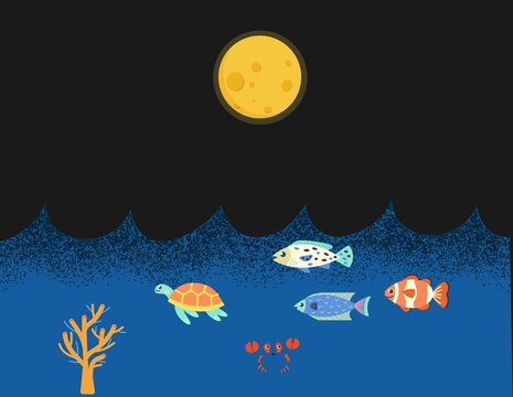 Night View animation