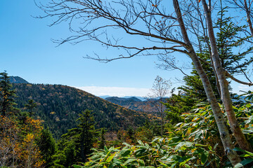 風景, 自然, 空, 山