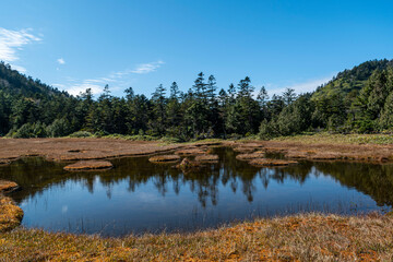 風景, 自然, 秋, 空, 木, 山