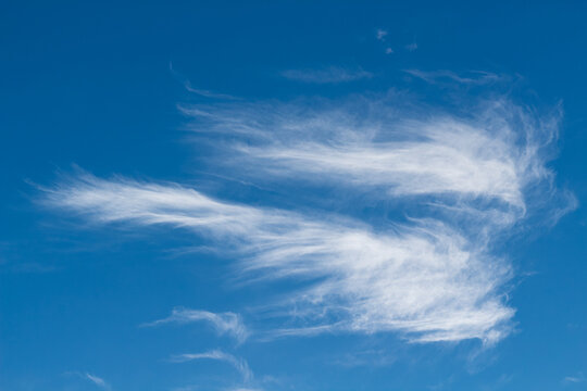 Beautiful thin cirrus clouds. White spindrift clouds in a shape of an angel on blue sky