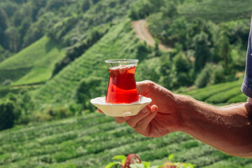 Mans hand holding traditional cup full with hot tea at the tea plantation.