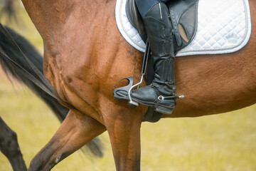 Close up image of jockey riding boot in the stirrup. Rider on bay sport horse.