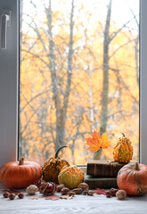 Autumn background. Pumpkins, books, nuts and autumn leaves on window sill. symbol of fall season....