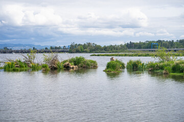 Union Bay Natural Area