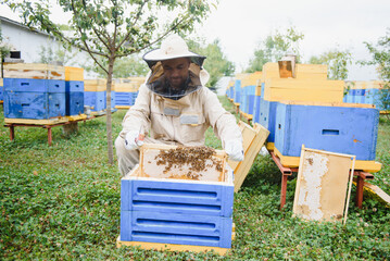 Beekeeping, beekeeper at work, bees in flight.