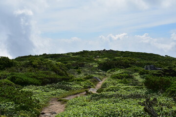 山　登山道　