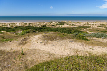 Dunes near Hardelot on a sunny day in summer