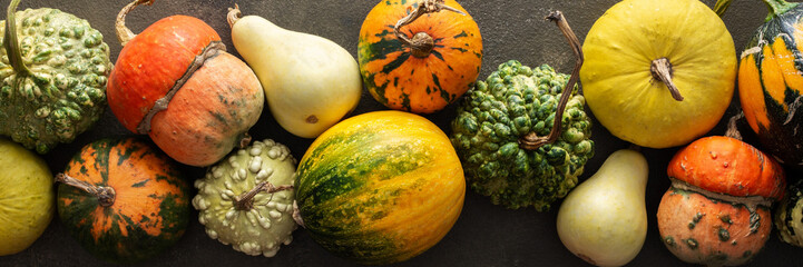 Decorative and edible pumpkins on a green background, top view, autumn banner