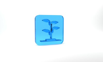 Blue Sprout icon isolated on grey background. Seed and seedling. Leaves sign. Leaf nature. Glass square button. 3d illustration 3D render