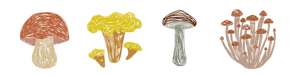 Mushrooms set. Boletus edulis, chanterelle, boletus and cantharellus cibarius. Hand drawn vector illustration. Pen or marker doodle sketch - obrazy, fototapety, plakaty