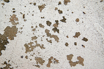 background grunge old texture perfect background with space