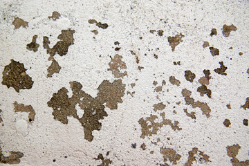 background grunge old texture perfect background with space