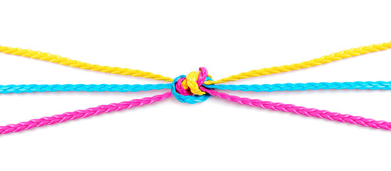 Colorful leather cords knotted together isolated
