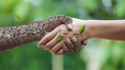 handshake of trees and humans Ecology and environment concept
