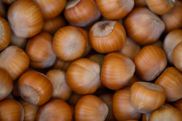 set of hazelnuts top view