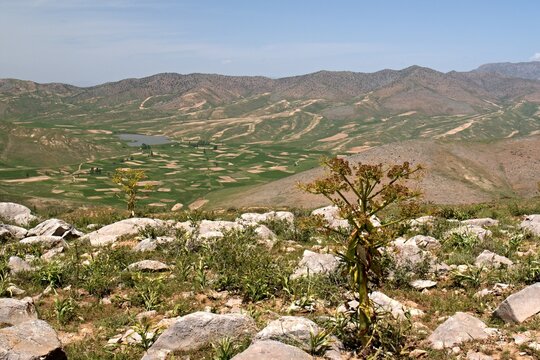 View Of The Zarafshan Range. Kashkadarya Region, South Of Samarkand City. Uzbekistan.
