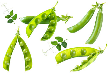 Set of different types of ripe green peas isolated on white.