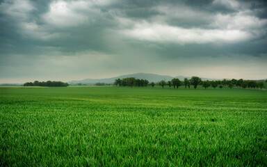 A field landscape during rainfall