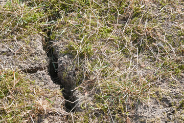 environnement climat planète secheresse terre crevasse