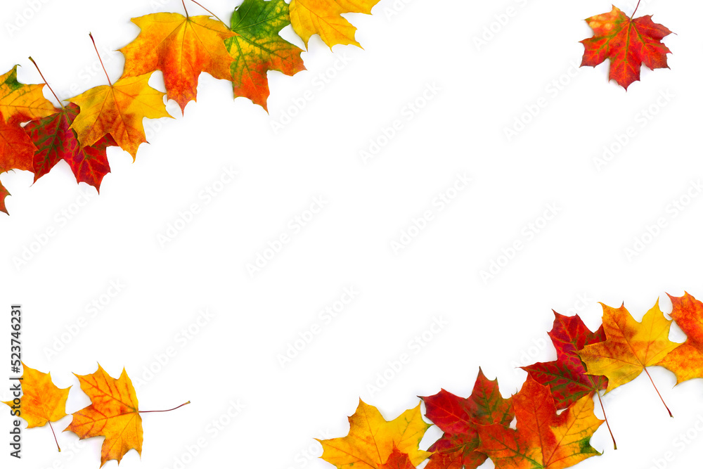 Wall mural frame of autumnal maple leaves on a white background with space for text. top view, flat lay