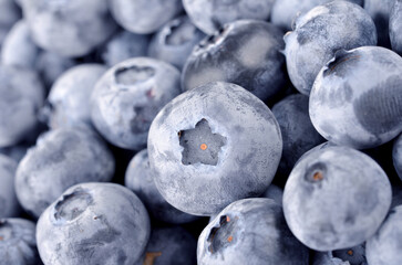 Fresh ripe blueberries - vaccinium myrtillus, close-up, as a background