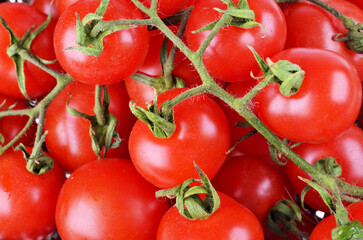 Fresh ripe cherry tomatoes, close-up, as a background