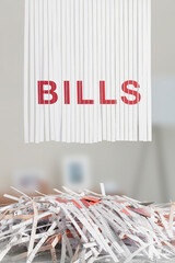 Shredded red BILLS letters above Cut up credit cards on Shredded Bills and Bank Statements