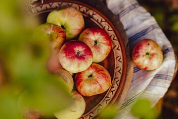 Ripe apples on a ceramic plate. Lavish still life in rustic style in mid-August