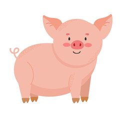 Cute pig cartoon. Vector illustration