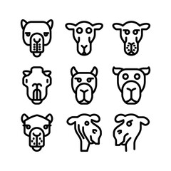 camel icon or logo isolated sign symbol vector illustration - high quality black style vector icons
