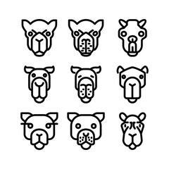 camel icon or logo isolated sign symbol vector illustration - high quality black style vector icons
