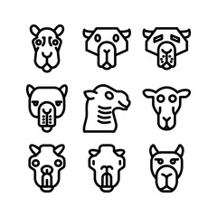 camel icon or logo isolated sign symbol vector illustration - high quality black style vector icons
