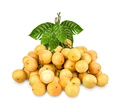 Fresh Rambeh , rambi isolated on transparent background