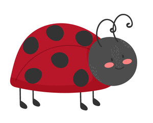 Cute ladybug, illustration, vector on white background.