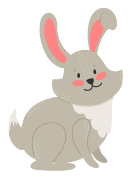 Rabbit isolated on white background. Vector illustration set