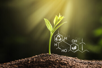 Illustration of chemical formula and young seedling growing in soil outdoors, closeup
